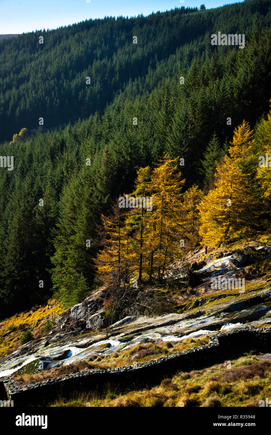 Voir l'automne de Glenmacnass waterfall Banque D'Images