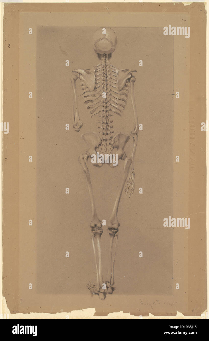 Vue arrière d'un squelette. En date du : 1848. Dimensions : image (irrégulier) : 42,39 × 36,04 cm (16 11/16 × 14 3/16 po.) planche : 48,9 × 32,07 cm (19 1/4 x 12 5/8 in.) conseil : 32,07 cm (12 5/8 in.). Technique : mine de plomb et craie sur papier vélin prévue à bord. Musée : National Gallery of Art, Washington DC. Auteur : DANIEL HUNTINGTON. Banque D'Images Vue arrière d'un squelette. En date du : 1848. Dimensions : image (irrégulier) : 42,39 × 36,04 cm (16 11/16 × 14 3/16 po.) planche : 48,9 × 32,07 cm (19 1/4 x 12 5/8 in.) conseil : 32,07 cm (12 5/8 in.). Technique : mine de plomb et craie sur papier vélin prévue à bord. Musée : National Gallery of Art, Washington DC. Auteur : DANIEL HUNTINGTON. Banque D'Images