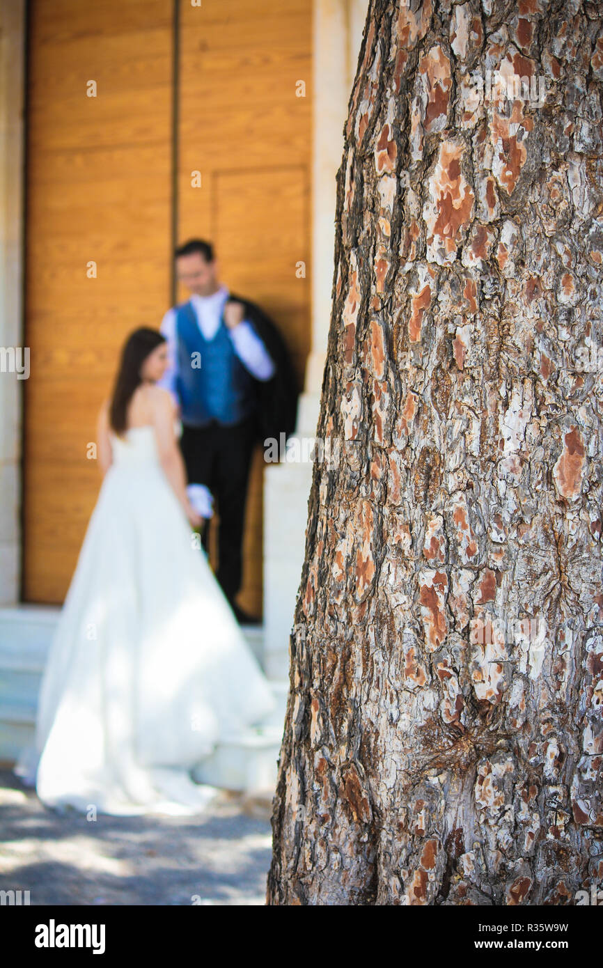 Close up d'un tronc et d'un jeune couple à l'arrière-plan flou dans Banque D'Images