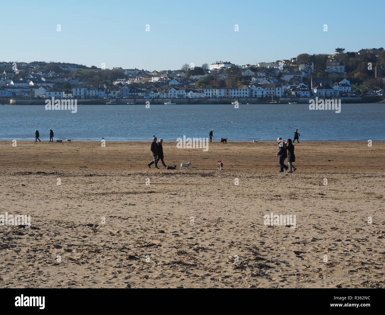 Des groupes de promeneurs de chiens sur Instow Beach North Devon UK Banque D'Images