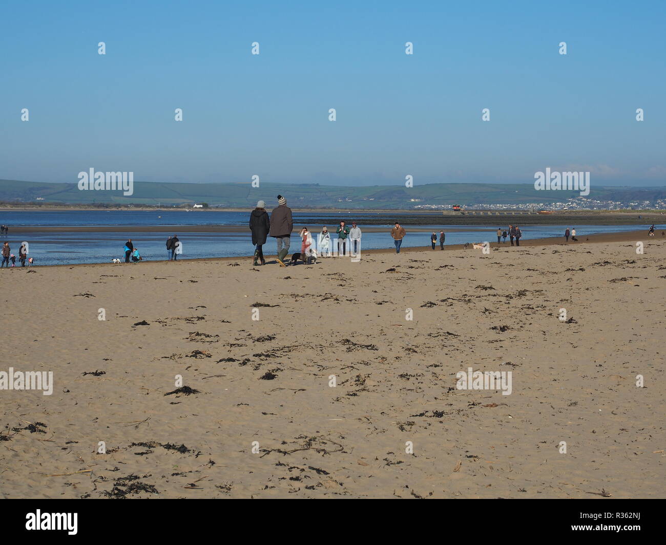 Des groupes de promeneurs de chiens sur Instow Beach North Devon UK Banque D'Images