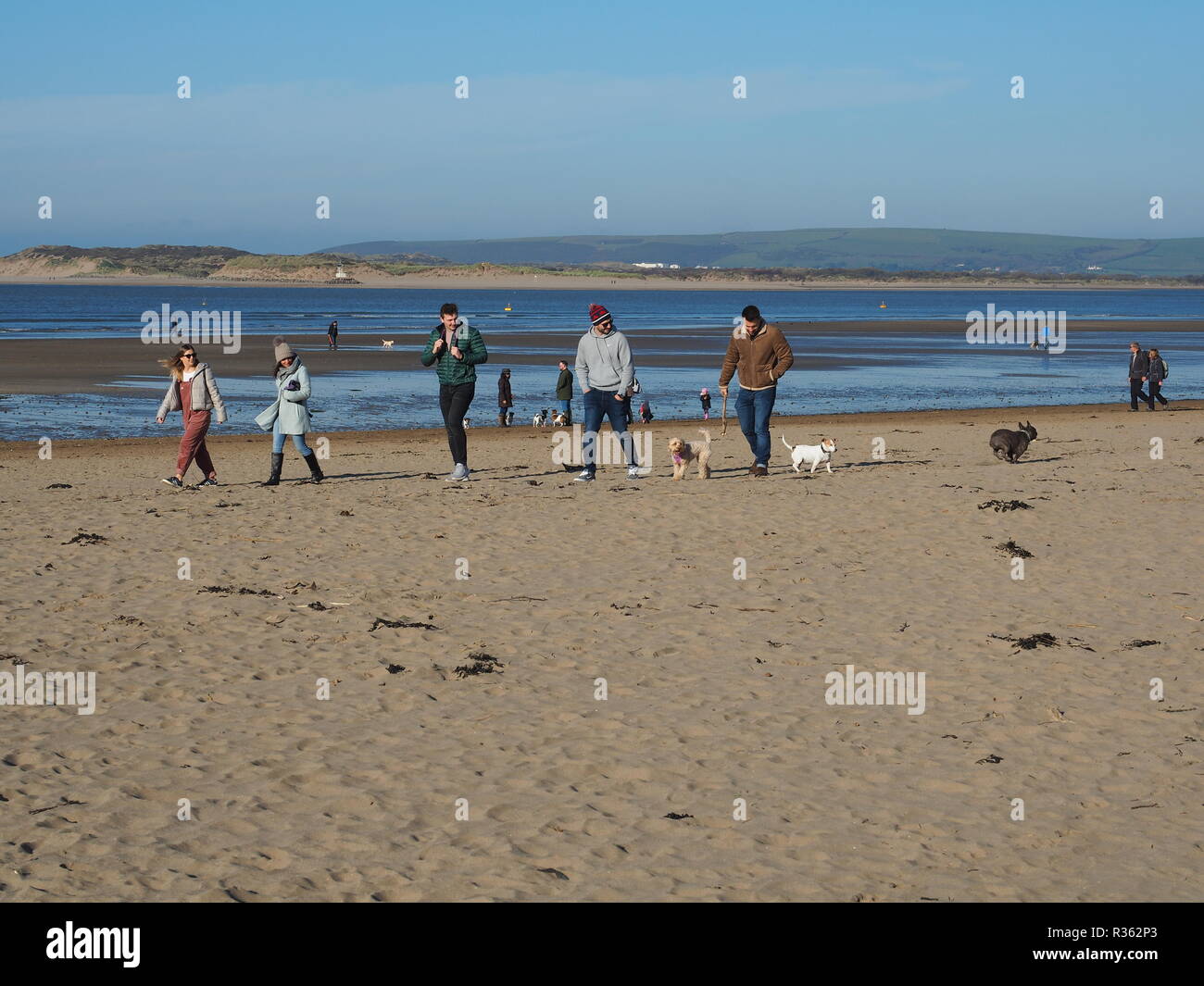 Des groupes de promeneurs de chiens sur Instow Beach North Devon UK Banque D'Images