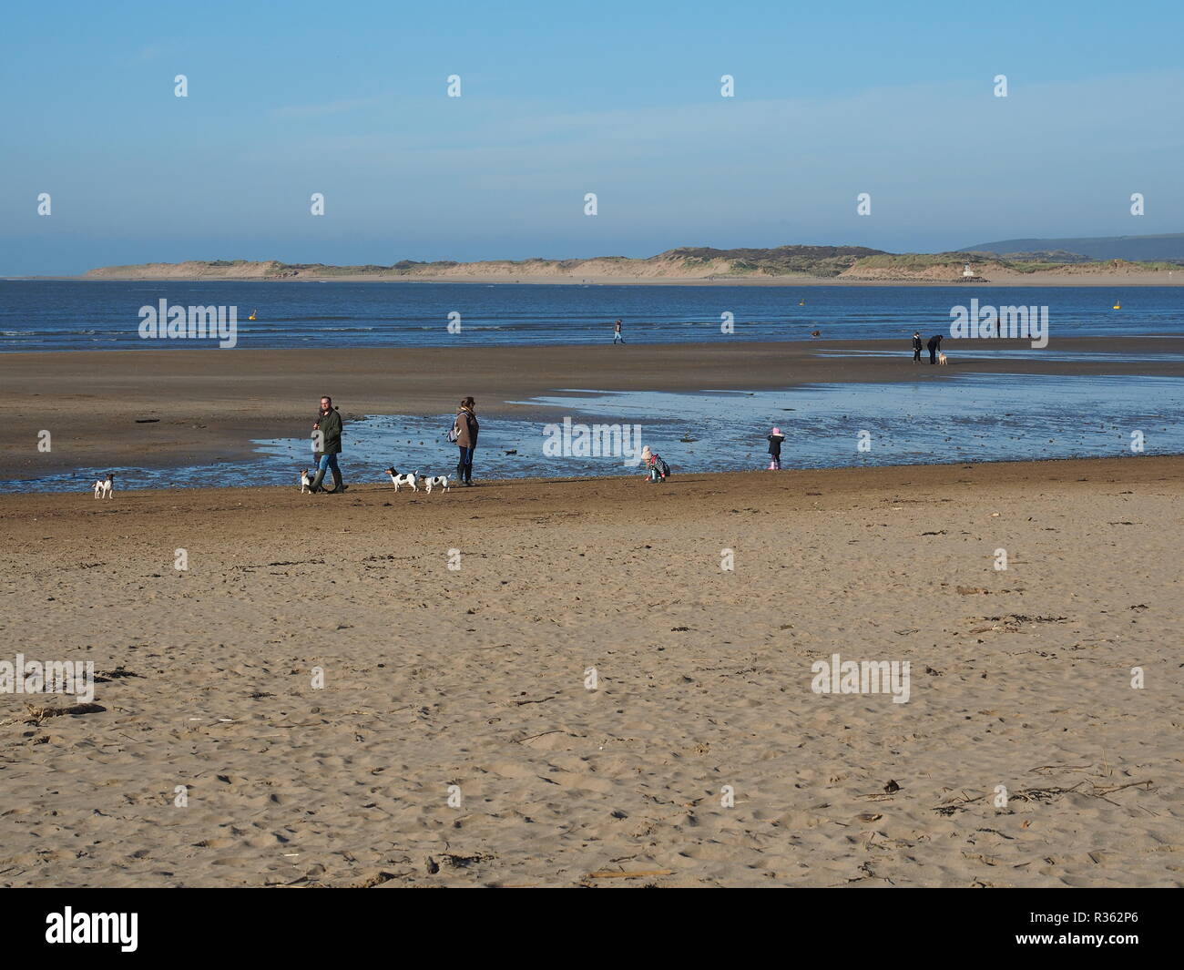 Des groupes de promeneurs de chiens sur Instow Beach North Devon UK Banque D'Images