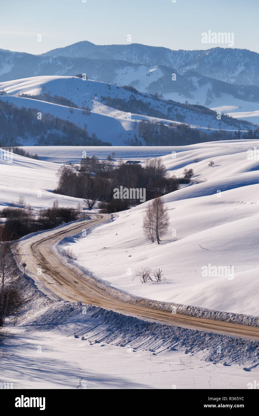 Chemin d'hiver et les arbres sous la neige dans l'Altaï. La Sibérie, Russie Banque D'Images