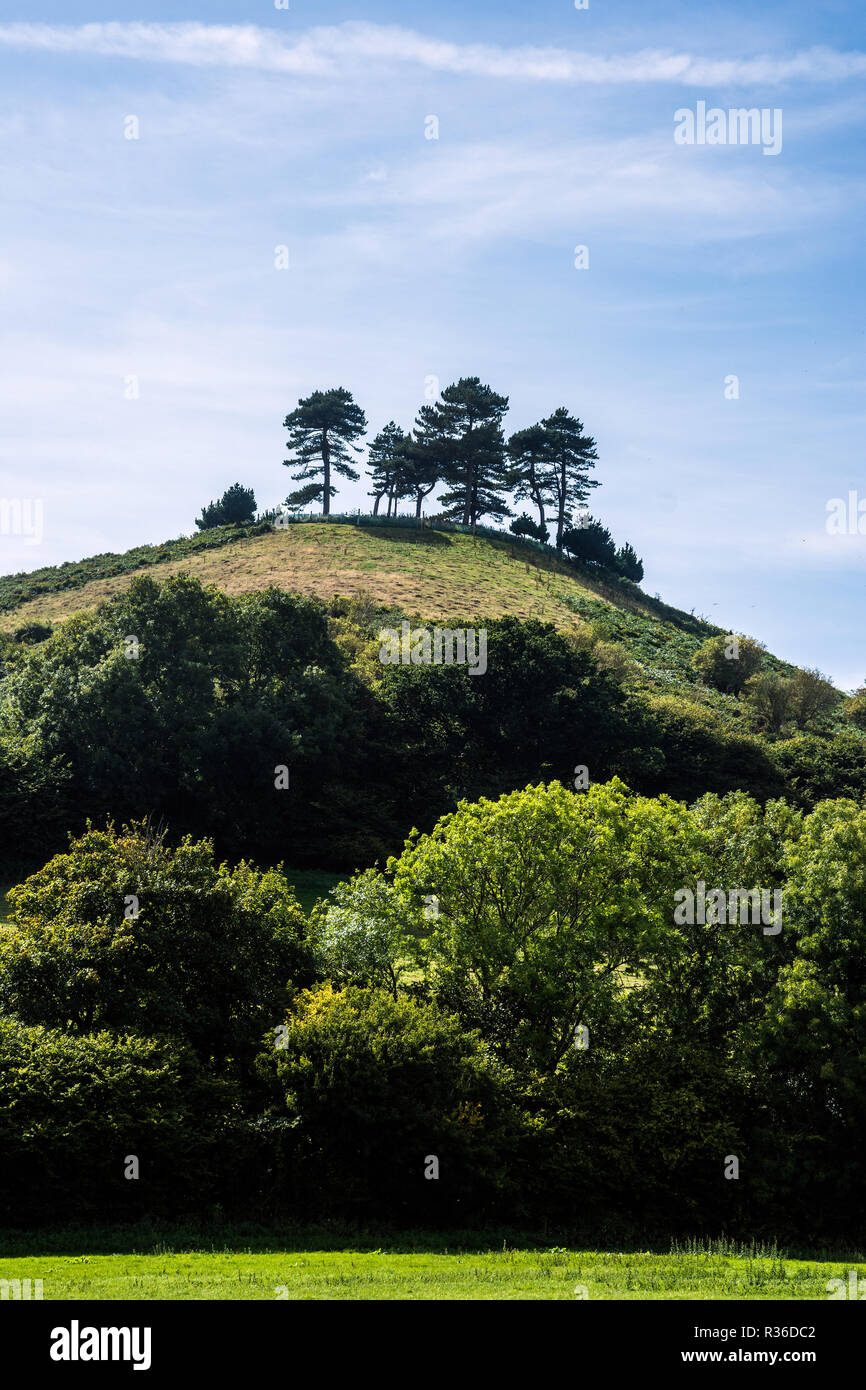 Colmers Hill, Dorset Banque D'Images