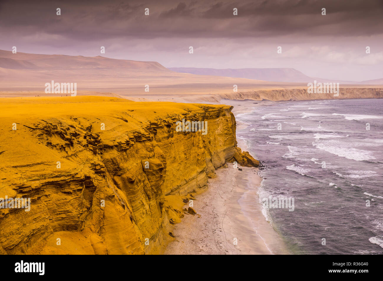 Falaises jaune à la réserve nationale de Paracas au Pérou : le littoral paysage désertique de la réserve nationale de Paracas près d'Ica est une destination en P Banque D'Images