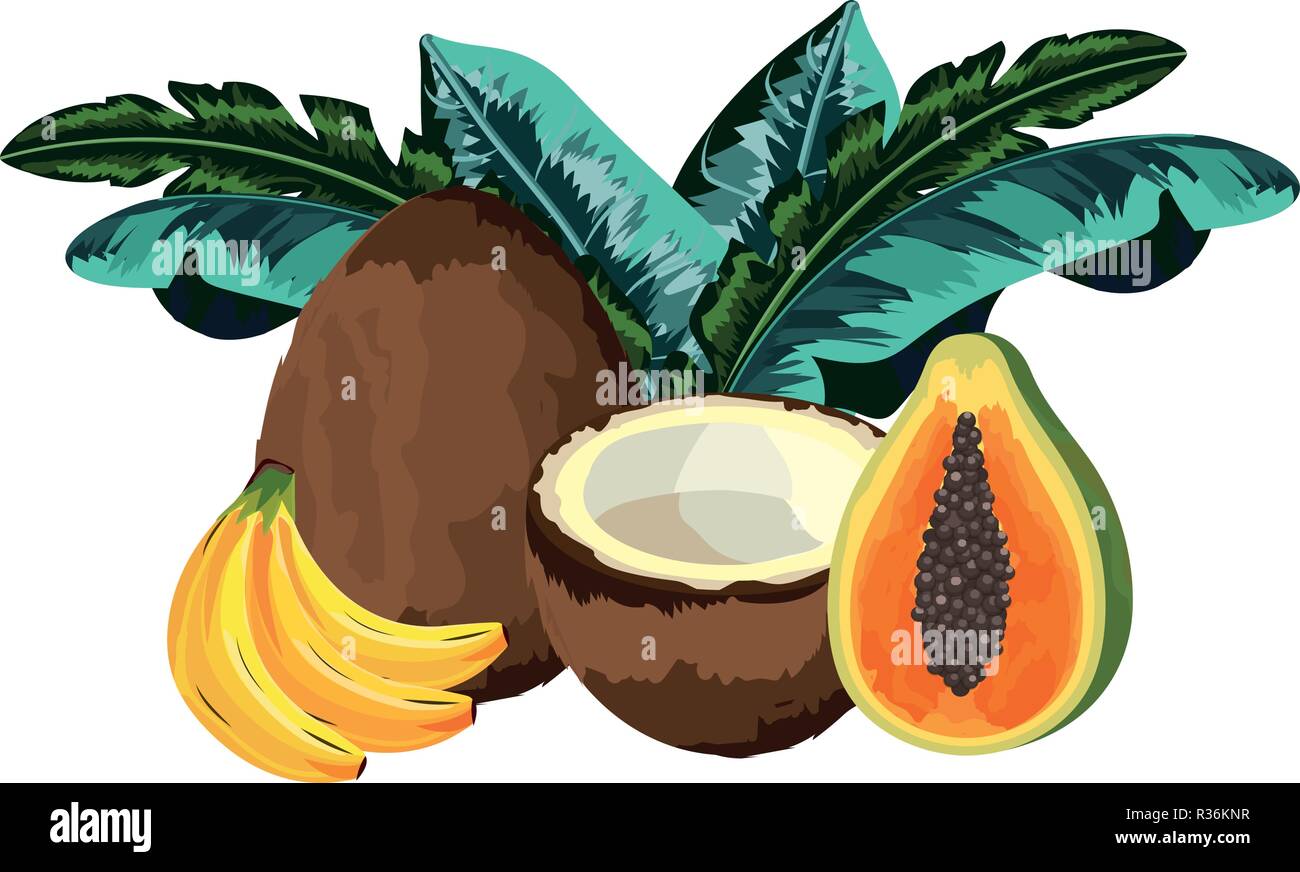 Fruits tropicaux cartoon vector illustration graphic design Illustration de Vecteur