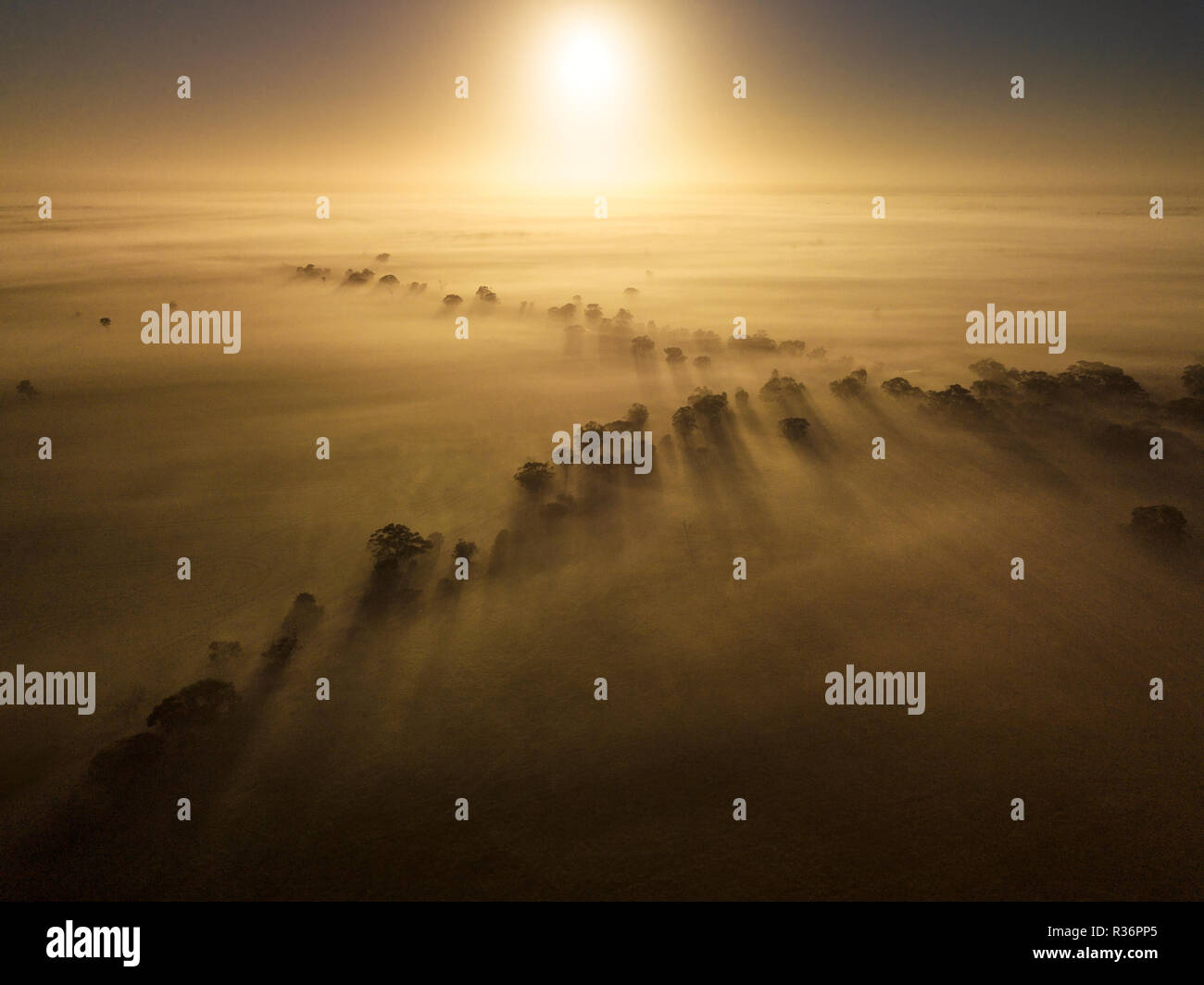 Vue aérienne d'un matin brumeux dans le Wimmera. Banque D'Images