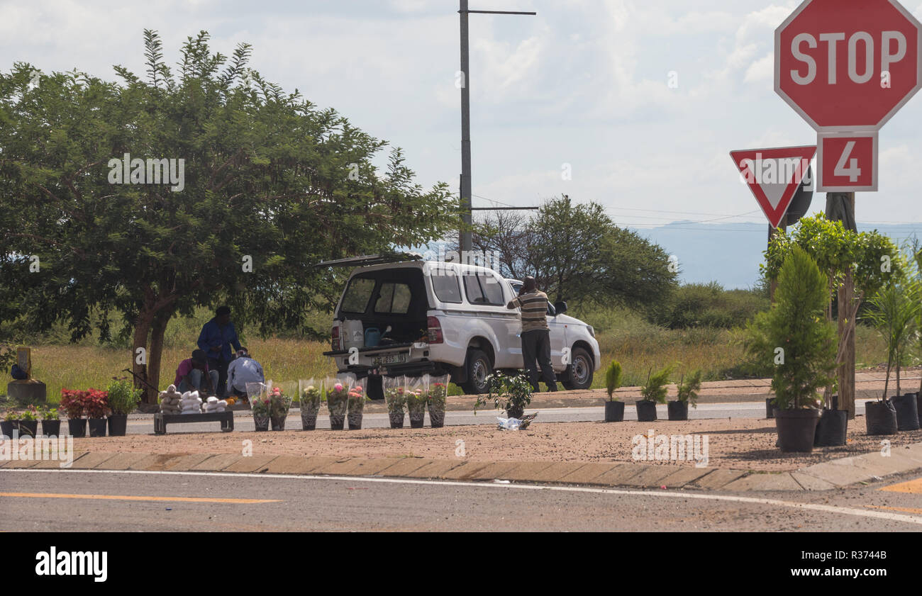 Les vendeurs de rue la vente de fleurs et plantes en pot sur le côté de la route en Afrique du Sud Banque D'Images