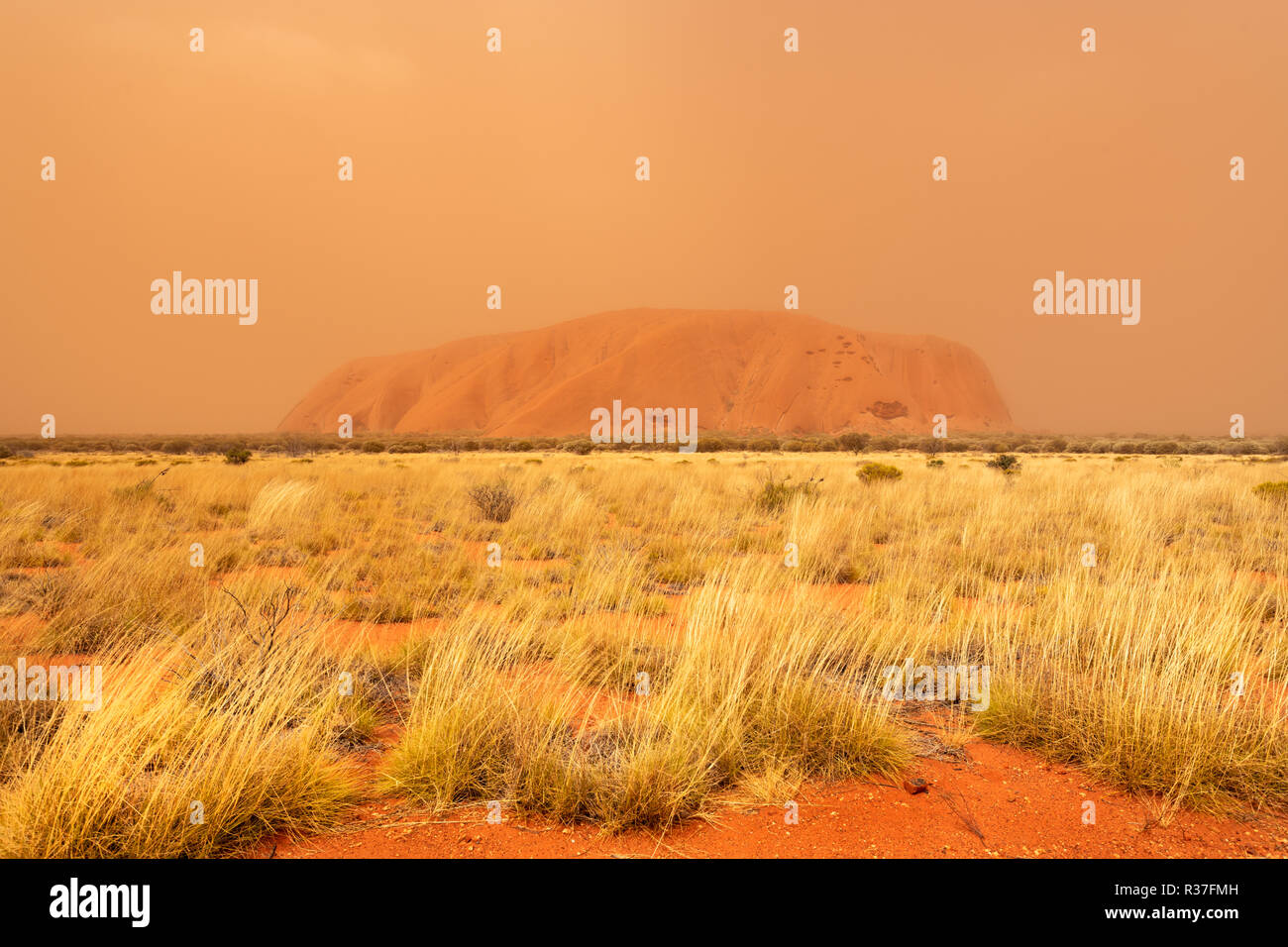L'Uluru bien caché dans la brume d'une tempête de sable. Banque D'Images