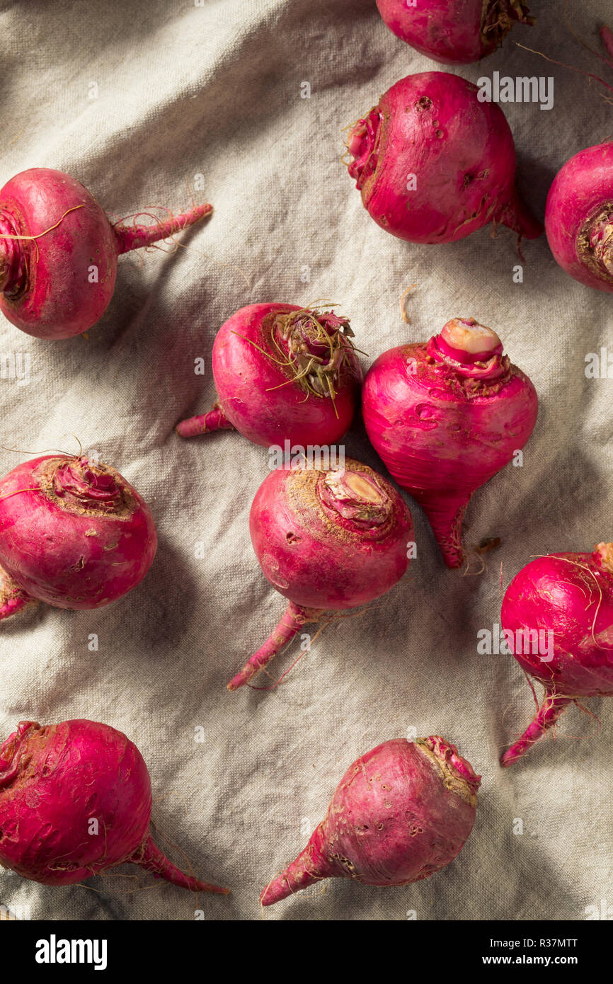 Les racines de betterave rouge et rose prêt à cuire Banque D'Images