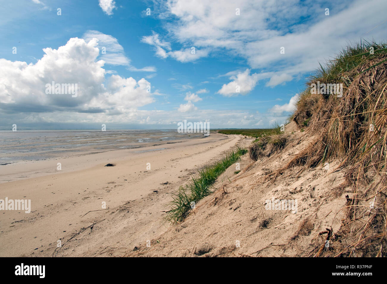 Langeoog Banque D'Images