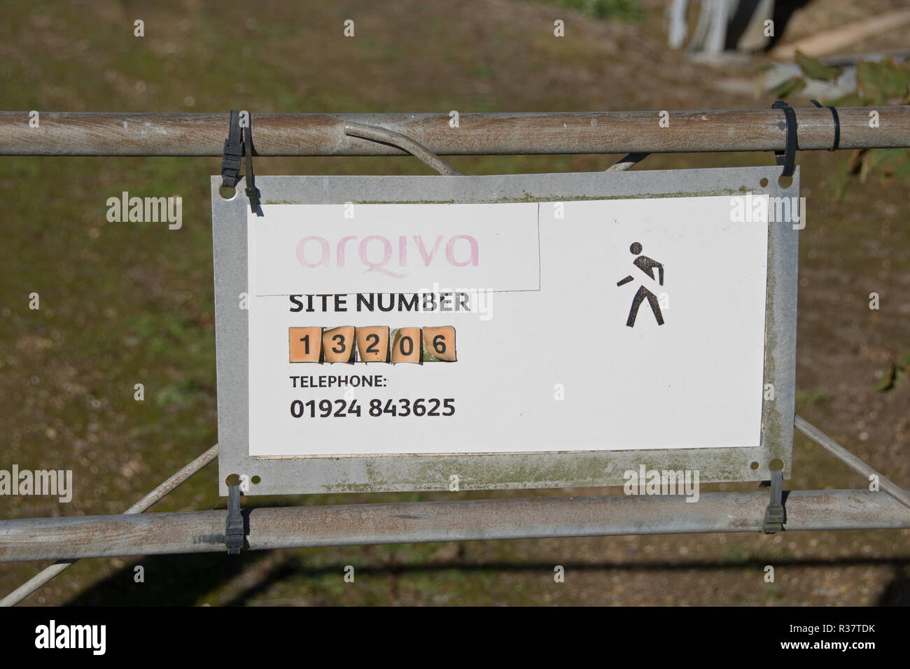 Bridport transmettant tour surplombant la campagne du Dorset Banque D'Images