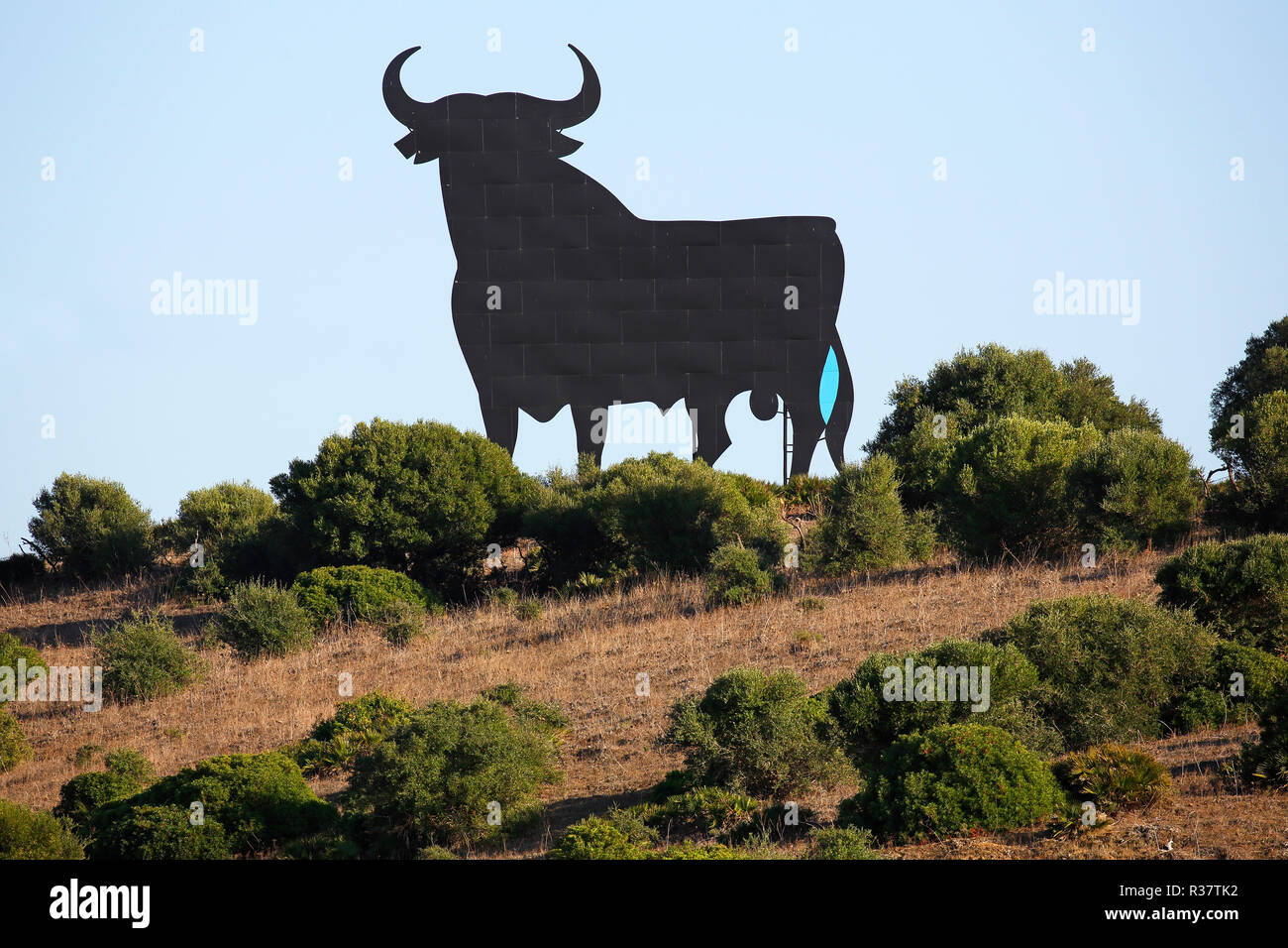 Silhouette noire d'un taureau, taureau taureau Osborne, aujourd'hui figure de symbole national pour l'Espagne, province de Cadix, Espagne Banque D'Images