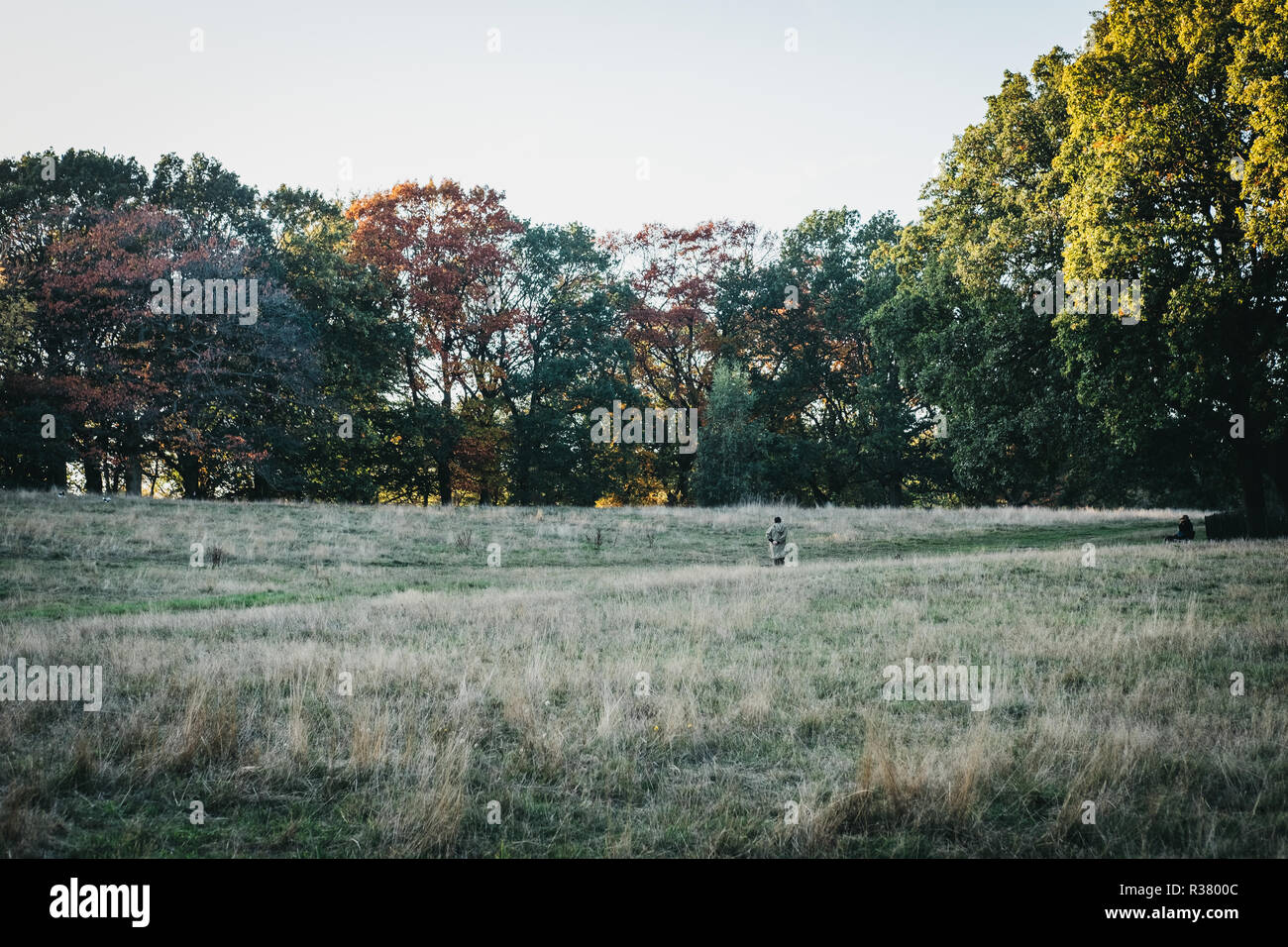 Londres, Royaume-Uni - Octobre 27, 2018 : personne qui marche à travers le champ à Hampstead Heath au crépuscule. Hampstead Heath couvre 320 hectares l'un des quartiers les plus p Banque D'Images