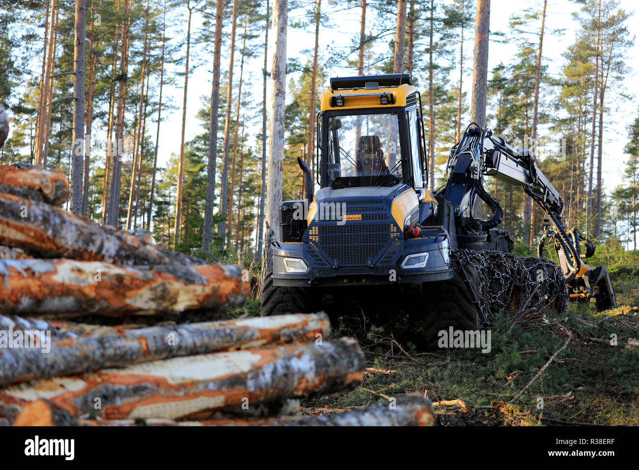 Salo, Finlande - le 18 novembre 2018 : site en forêt finlandaise pour un jour de l'automne avec les journaux de pile et forêt Ponsse Ergo harvester. Banque D'Images