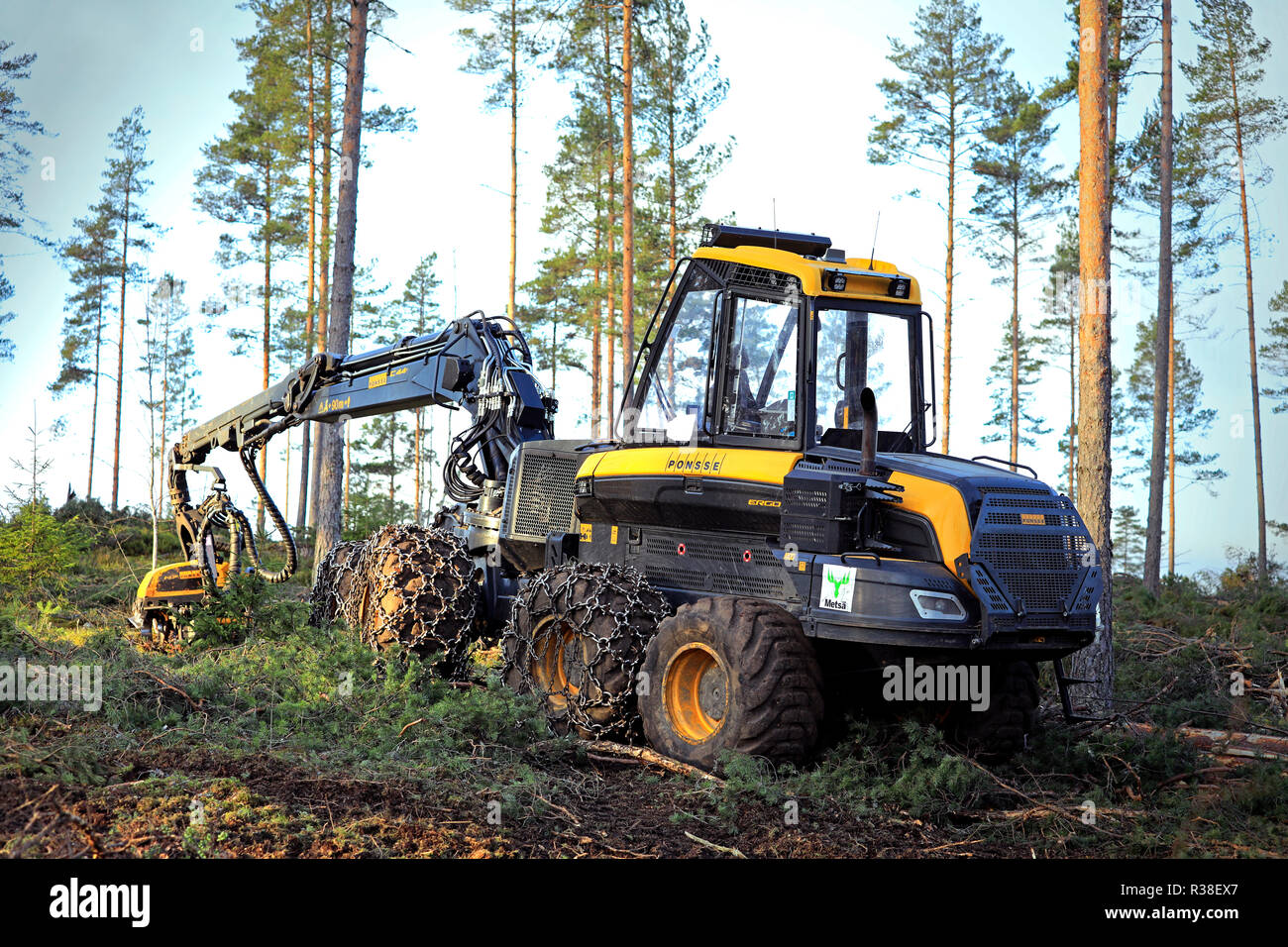 Salo, Finlande - le 18 novembre 2018 : site en forêt de pin finlandais pour un jour de l'automne avec forêt Ponsse Ergo harvester. Filtres appliqués. Banque D'Images