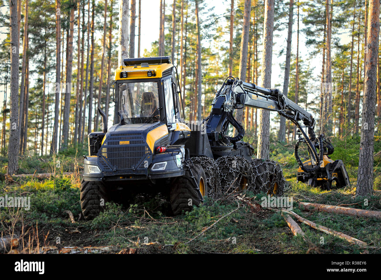 Salo, Finlande - le 18 novembre 2018 : site en forêt de pin finlandais pour un jour de l'automne avec forêt Ponsse Ergo harvester. Très légèrement HDR appliquée. Banque D'Images