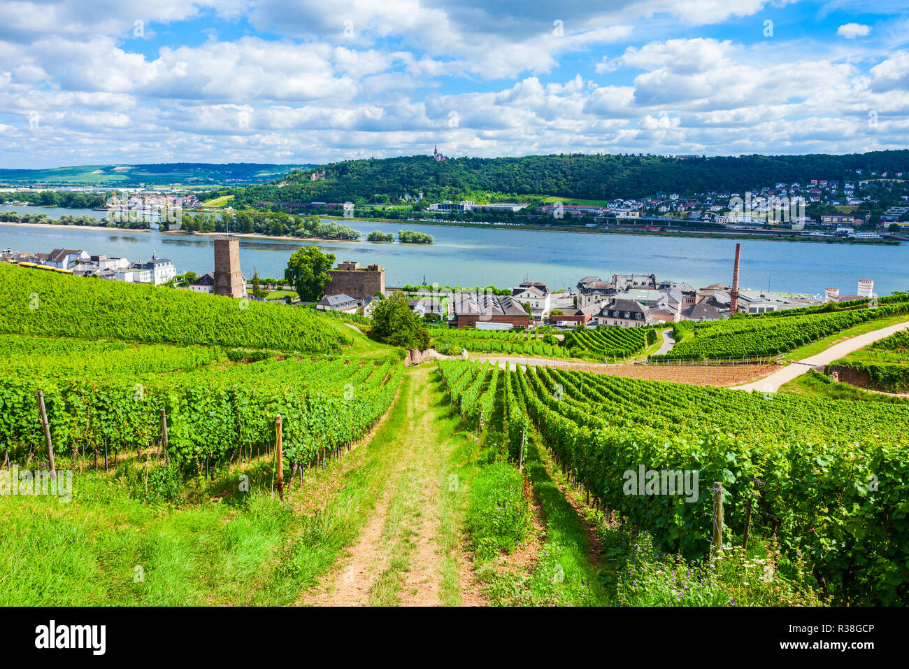 Vignes, Rudesheim am Rhein et Bingen am Rhein ville vue panoramique aérienne dans la vallée du Rhin, Allemagne Banque D'Images