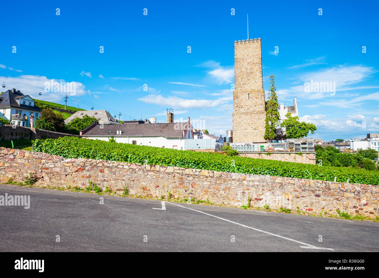 Winery and Vineyards à Rudesheim am Rhein ville dans la vallée du Rhin, Allemagne Banque D'Images