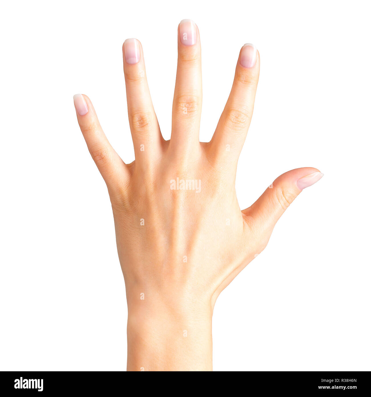 Main femme montrant cinq doigts et palm Photo Stock - Alamy