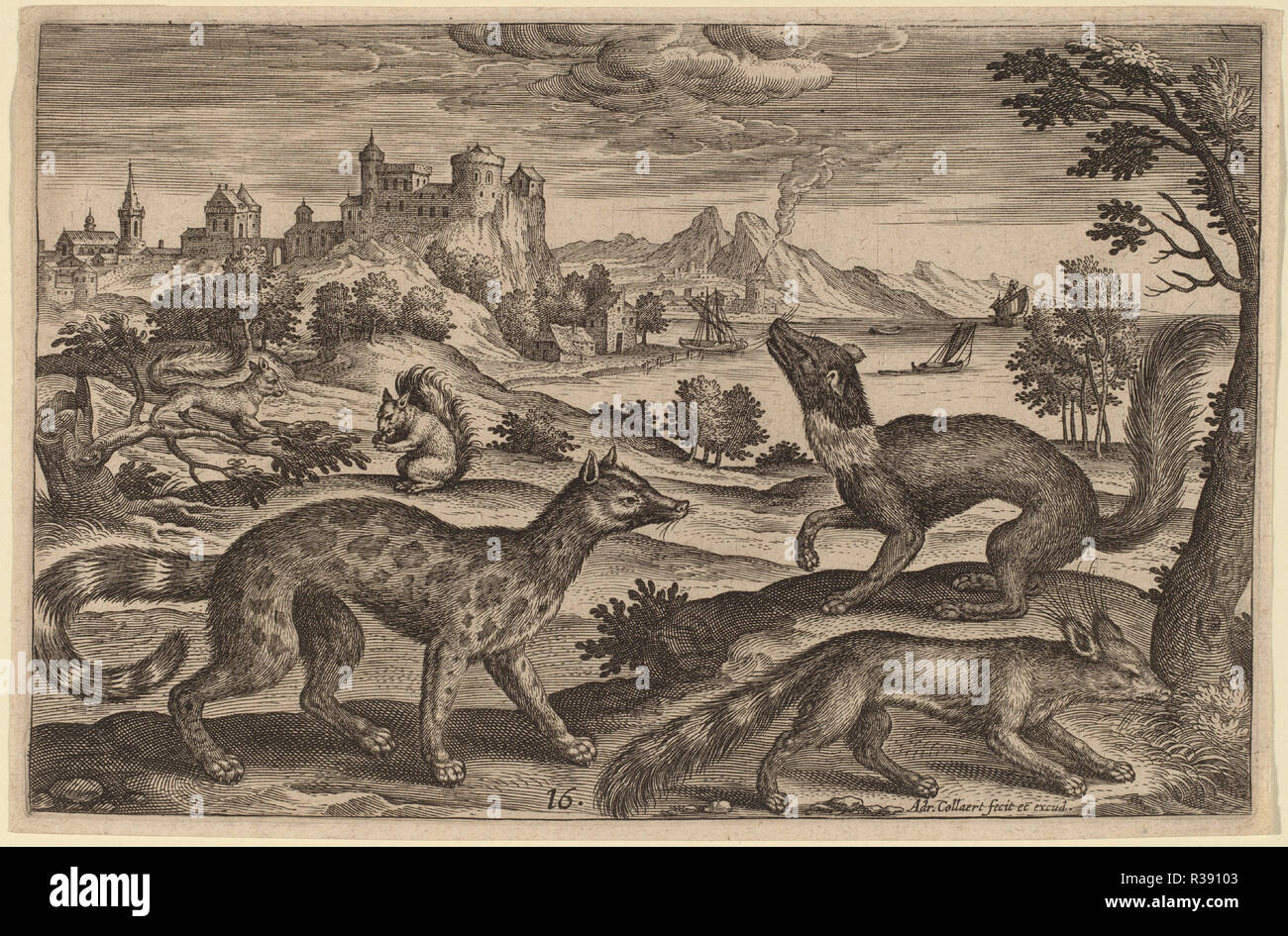 Animalium Quadrupedum. Technique : gravure. Musée : National Gallery of Art, Washington DC. Auteur : Adriaen Collaert. Banque D'Images