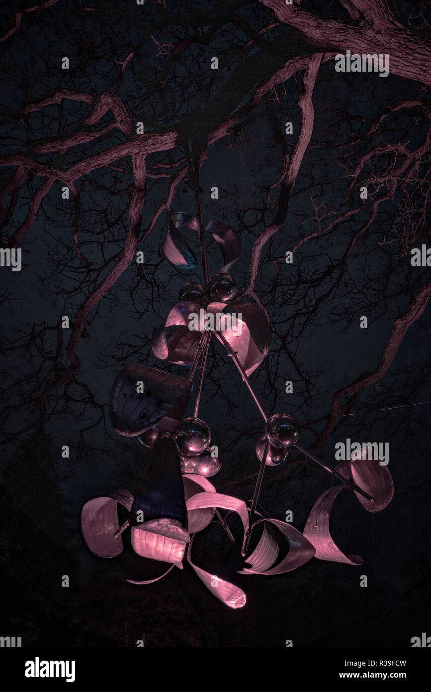 Harrogate, North Yorkshire, UK. 21 novembre 2018. Jardin d'hiver Presse Illuminations événement tenu au RHS Gardens Harlow Carr, Harrogate, North Yorkshire, Royaume-Uni Crédit : Pris Light Photography Limited/Alamy Live News Banque D'Images