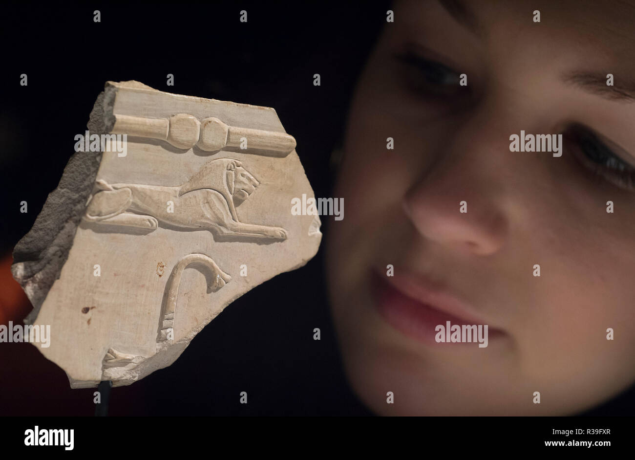 Bonhams, New Bond Street, London, UK. 22 novembre, 2018. Bonhams Antiquities vente dispose d'une magnifique sélection d'œuvres illustrant les deux animaux domestiques et exotiques de l'ancien monde. De droit : un fragment de relief calcaire égyptien avec lion hiéroglyphe, Nouvel Empire, deuxième moitié du xviiième dynastie, vers 1401-1292 av. J.-C. Estimation £5,000-7,000. Credit : Malcolm Park/Alamy Live News. Banque D'Images