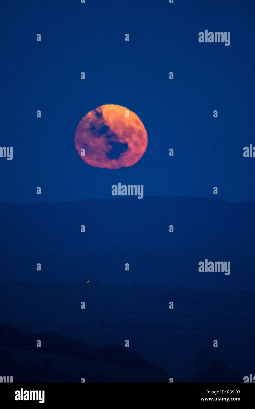 Aberystwyth, Pays de Galles, Royaume-Uni. Le 22 novembre 2018. La pleine lune, connu ce mois-ci, comme le castor, la Lune se lève sur les collines à l'extérieur de Aberystwyth, Pays de Galles , sur une froide nuit de novembre gel crédit photo : Keith Morris / Alamy Live News Banque D'Images