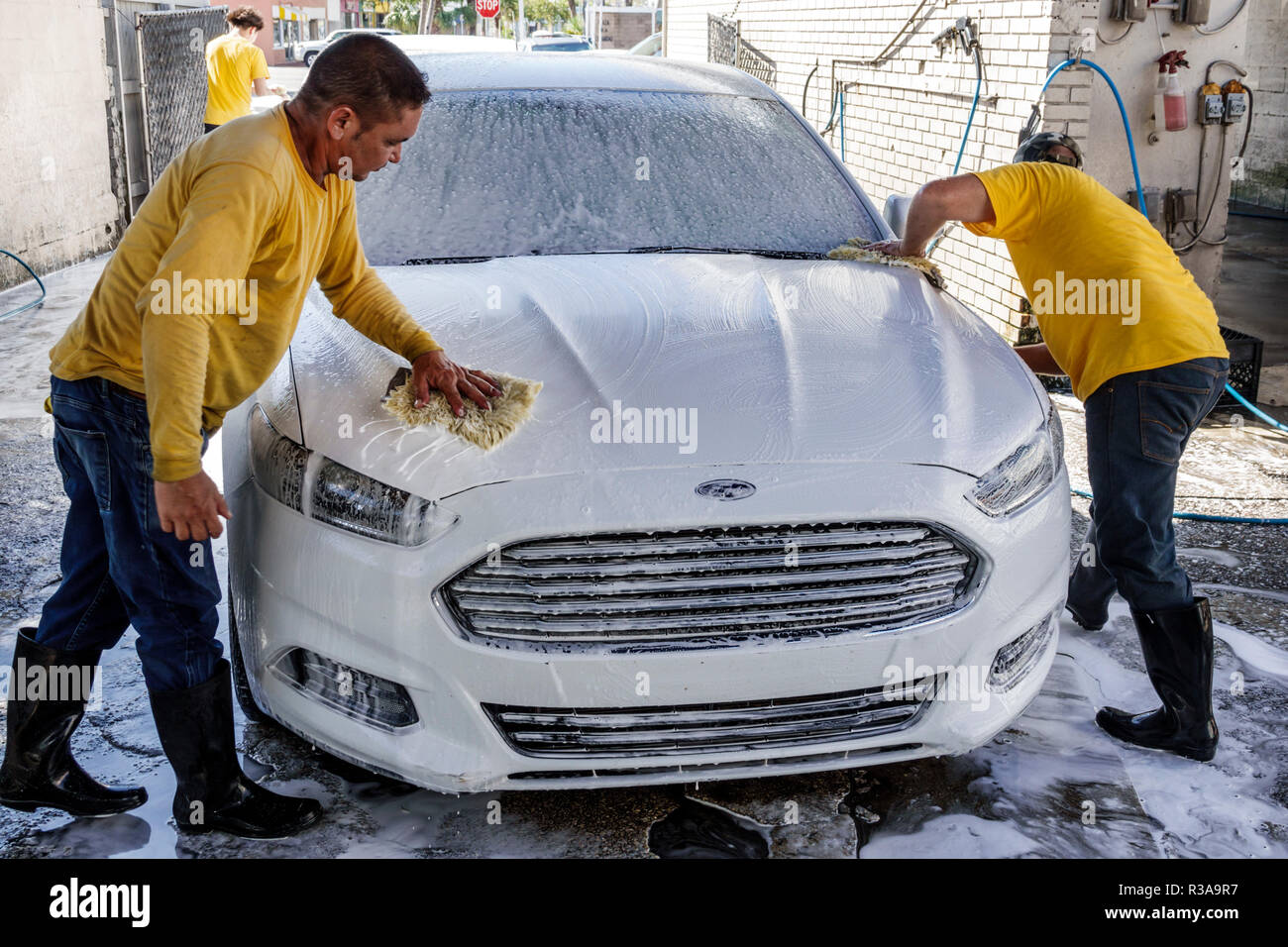 Miami Florida,Little Havana,lavage de voiture,blanc Ford Fusion,hispanique homme hommes,travail,nettoyage,savon sope essuyage,travail d'équipe,FL181115002 Banque D'Images