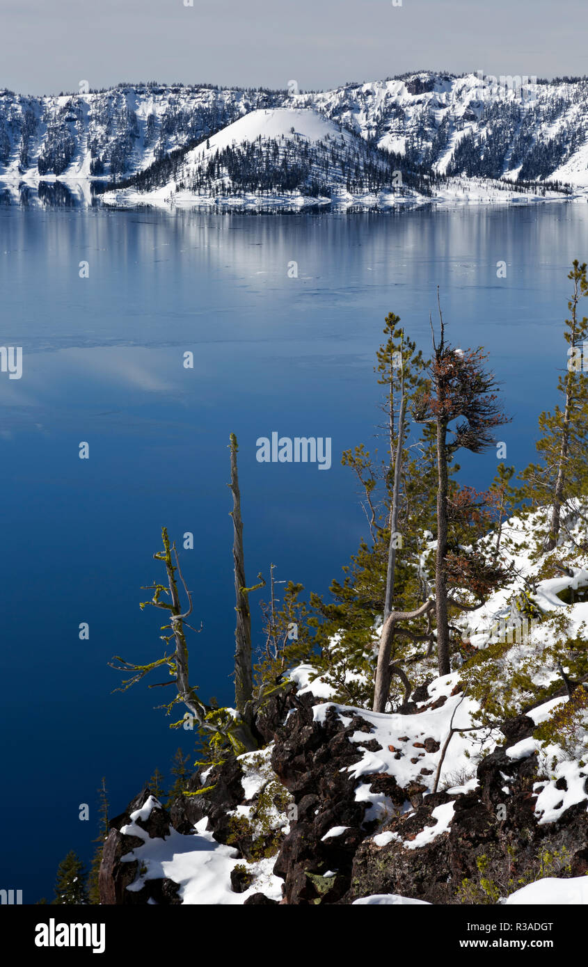 Ou02449-00...OREGON - Wizard Island vue de Cleetwood Cove à Crater Lake National Park. Banque D'Images