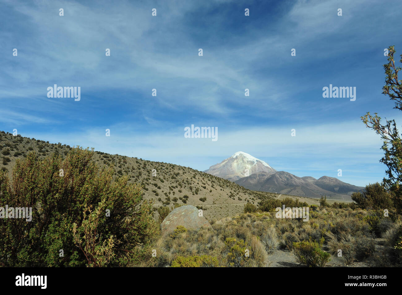 Altiplano aride paysage, le parc national de Sajama, Bolivie Banque D'Images