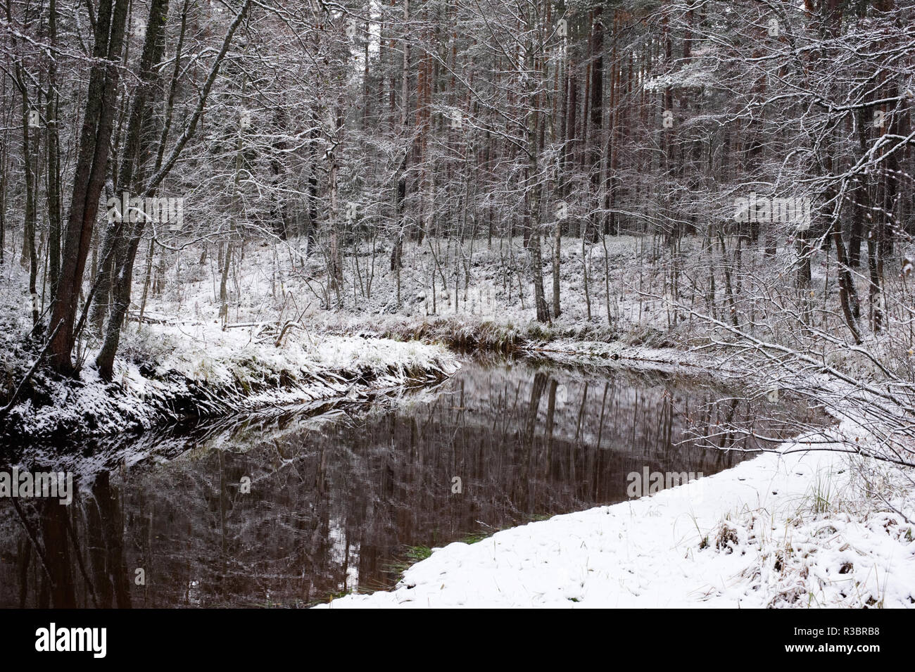 River serpente à travers la forêt d'hiver. Arbres se reflétant à partir de la surface de l'eau. Banque D'Images