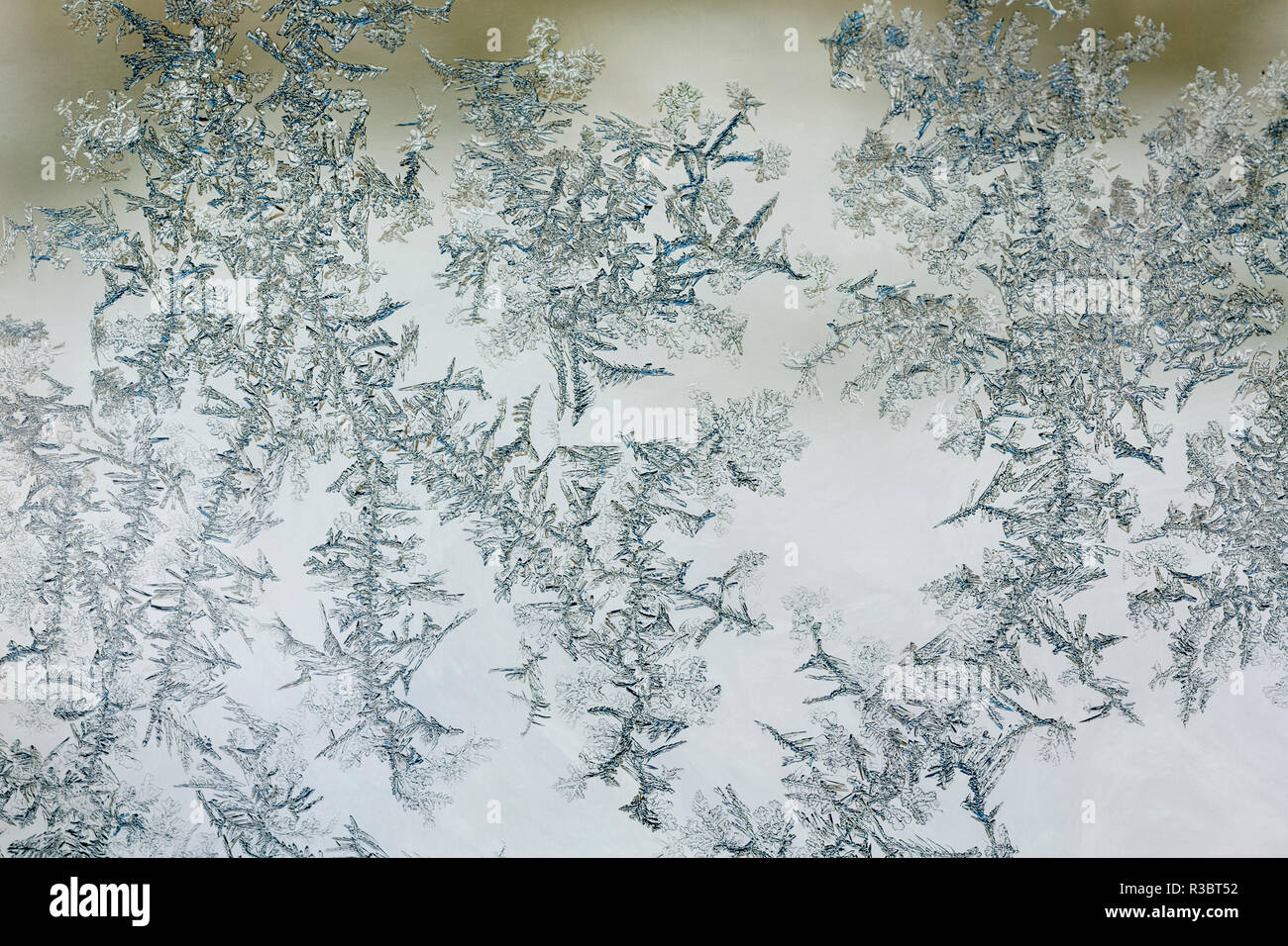 Modèle de givre sur la fenêtre. Banque D'Images