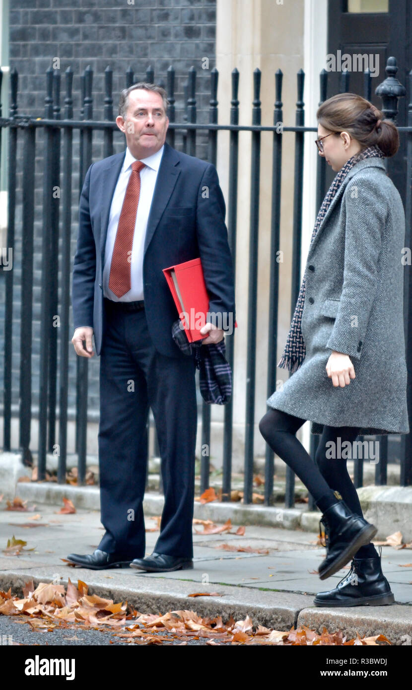 Liam Fox MP (Con : North Somerset) Secrétaire d'État chargé du Commerce international et président de la Chambre de commerce - quitter Downing Street, le 20 novembre Banque D'Images