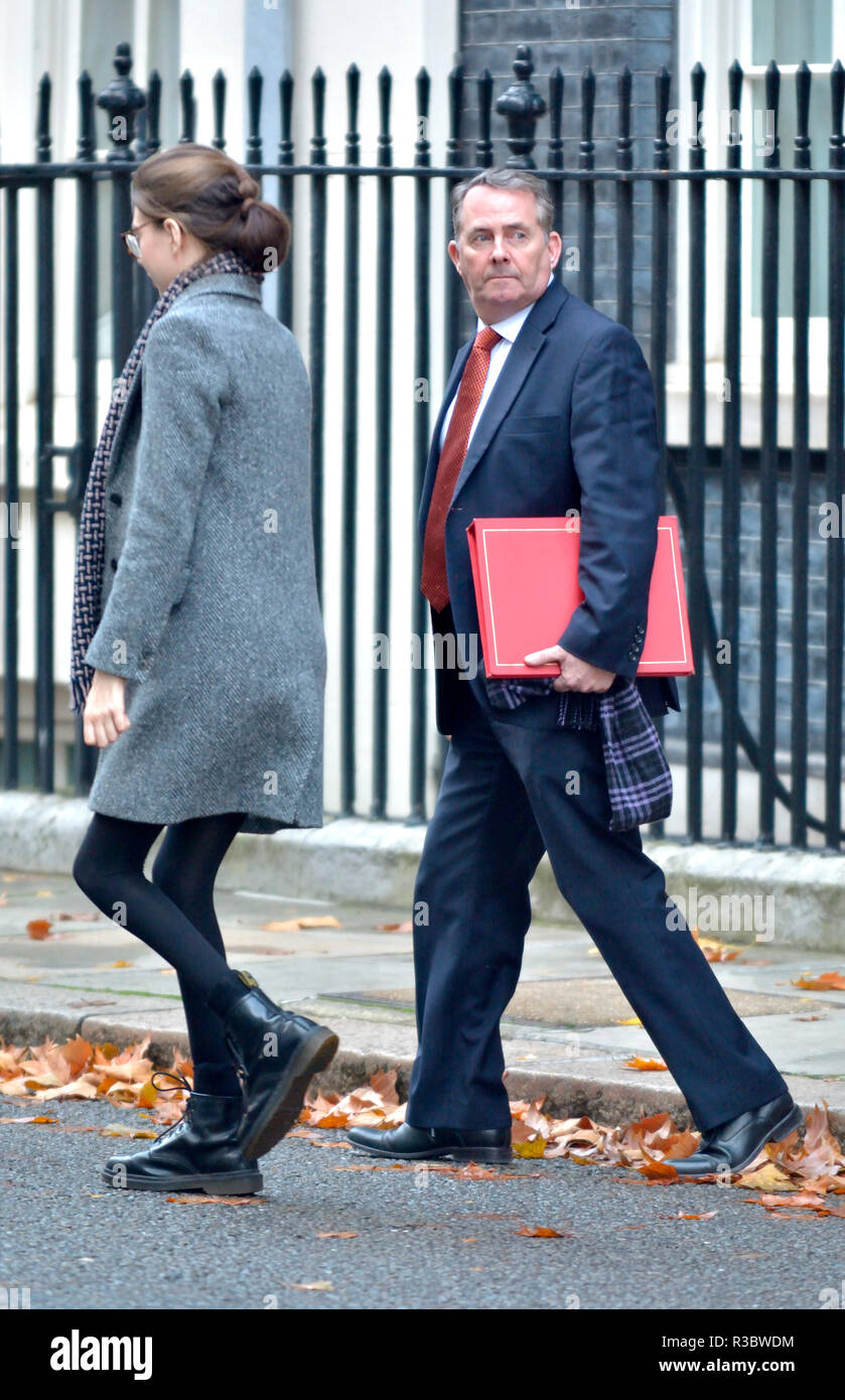 Liam Fox MP (Con : North Somerset) Secrétaire d'État chargé du Commerce international et président de la Chambre de commerce - quitter Downing Street, le 20 novembre Banque D'Images