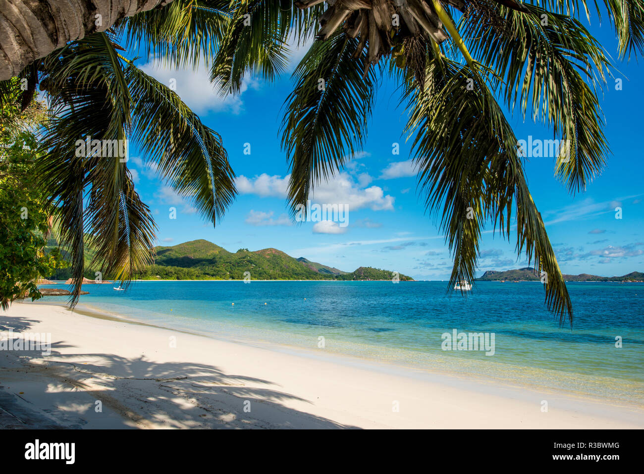 Anse Gouvernement beach à l'hôtel L'Archipel Resort, Praslin, Seychelles, océan Indien. Banque D'Images