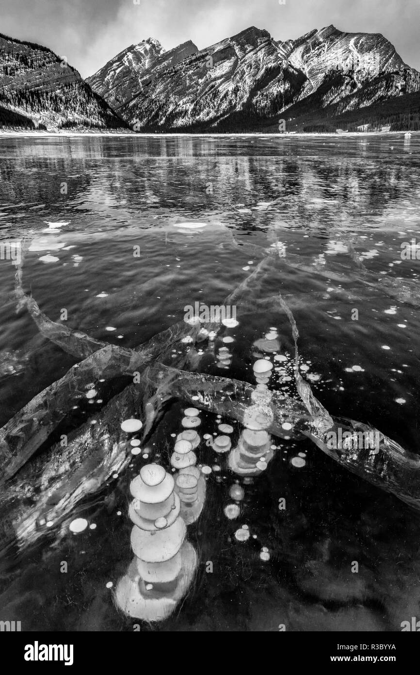 Le Canada, l'Alberta, le parc provincial de la vallée de pulvérisation. Bulles de méthane gelé en Spray Lakes Banque D'Images