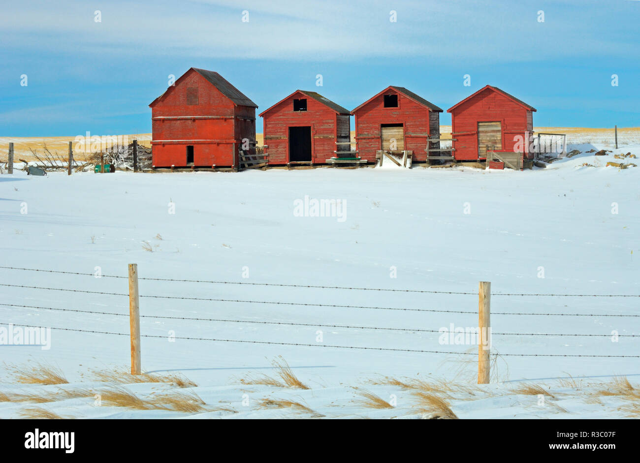 Le Canada, l'Alberta. Grenier en bois rouge en hiver des bâtiments de stockage. Banque D'Images