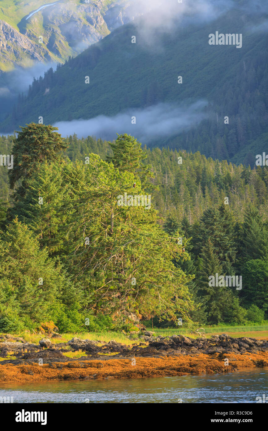 Vue panoramique près de la ville de Tenakee Tenakee Springs, Inlet, Inside Passage, Alaska, USA Banque D'Images