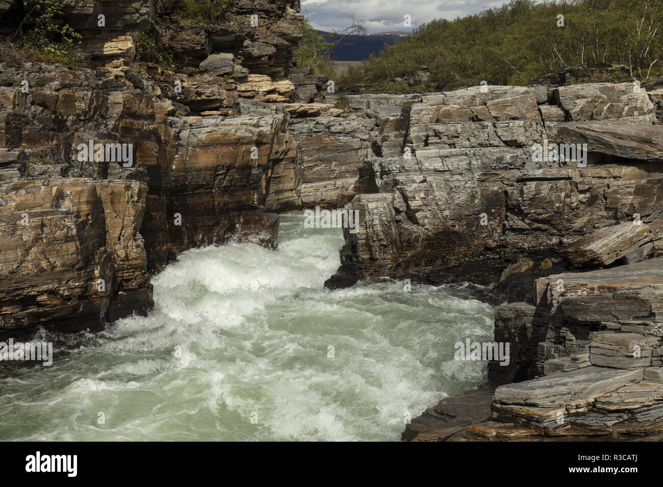 Le canyon et la rivière Abiskojåkka ; Abisko National Park, en Suède. Site de plantes rares. Banque D'Images