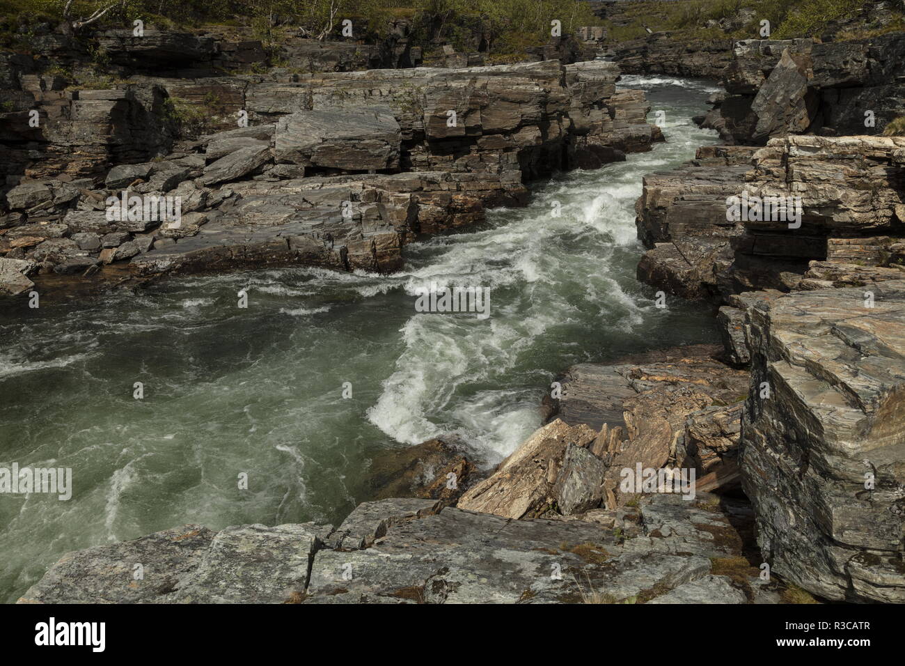 Le canyon et la rivière Abiskojåkka ; Abisko National Park, en Suède. Site de plantes rares. Banque D'Images