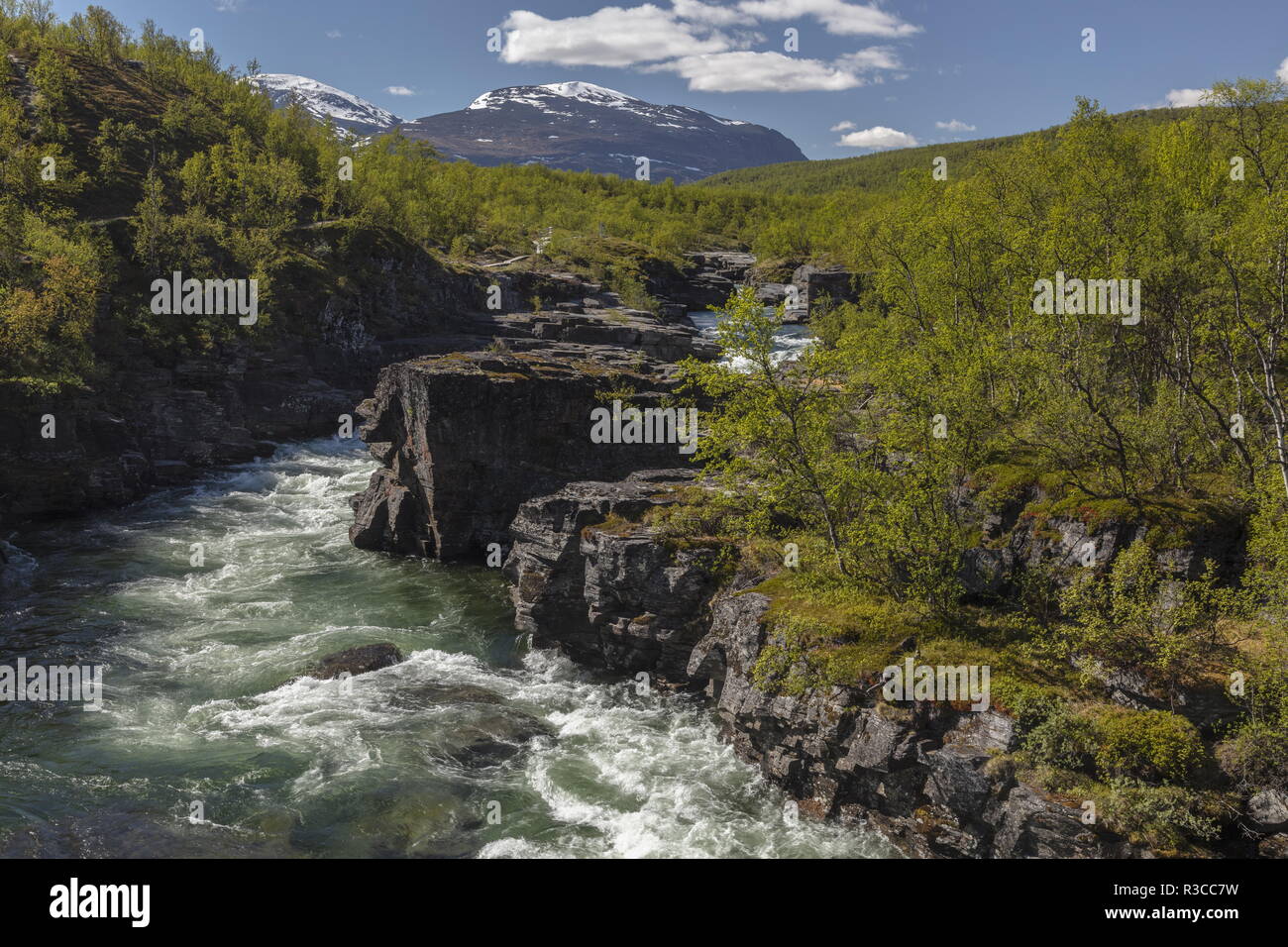 Le canyon et la rivière Abiskojåkka ; Abisko National Park, en Suède. Site de plantes rares. Banque D'Images