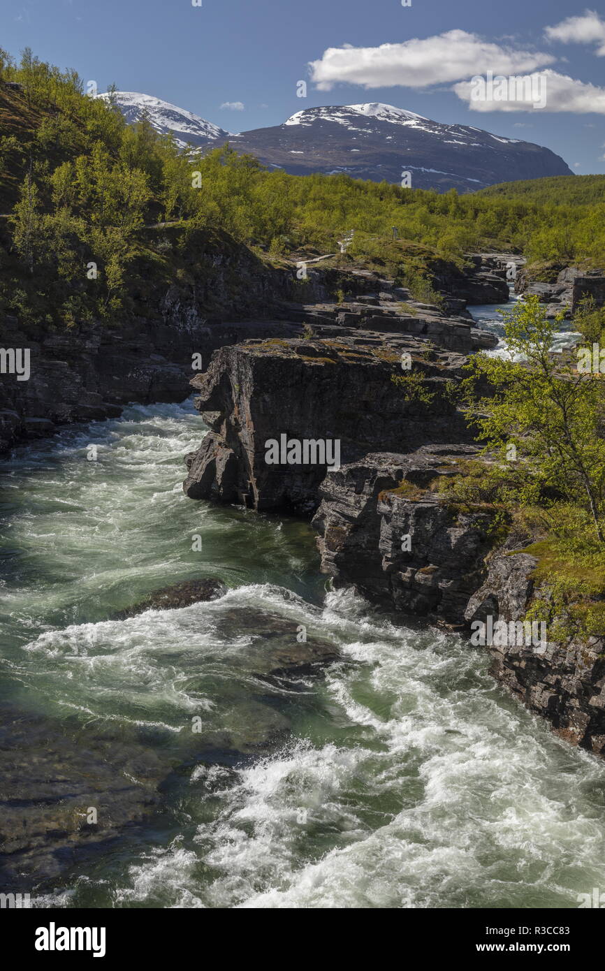 Le canyon et la rivière Abiskojåkka ; Abisko National Park, en Suède. Site de plantes rares. Banque D'Images