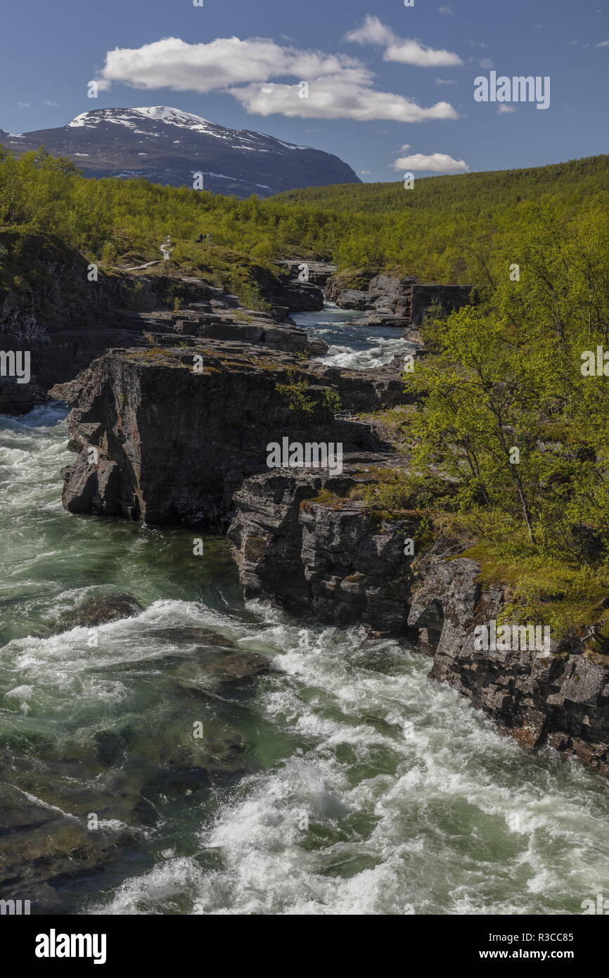 Le canyon et la rivière Abiskojåkka ; Abisko National Park, en Suède. Site de plantes rares. Banque D'Images