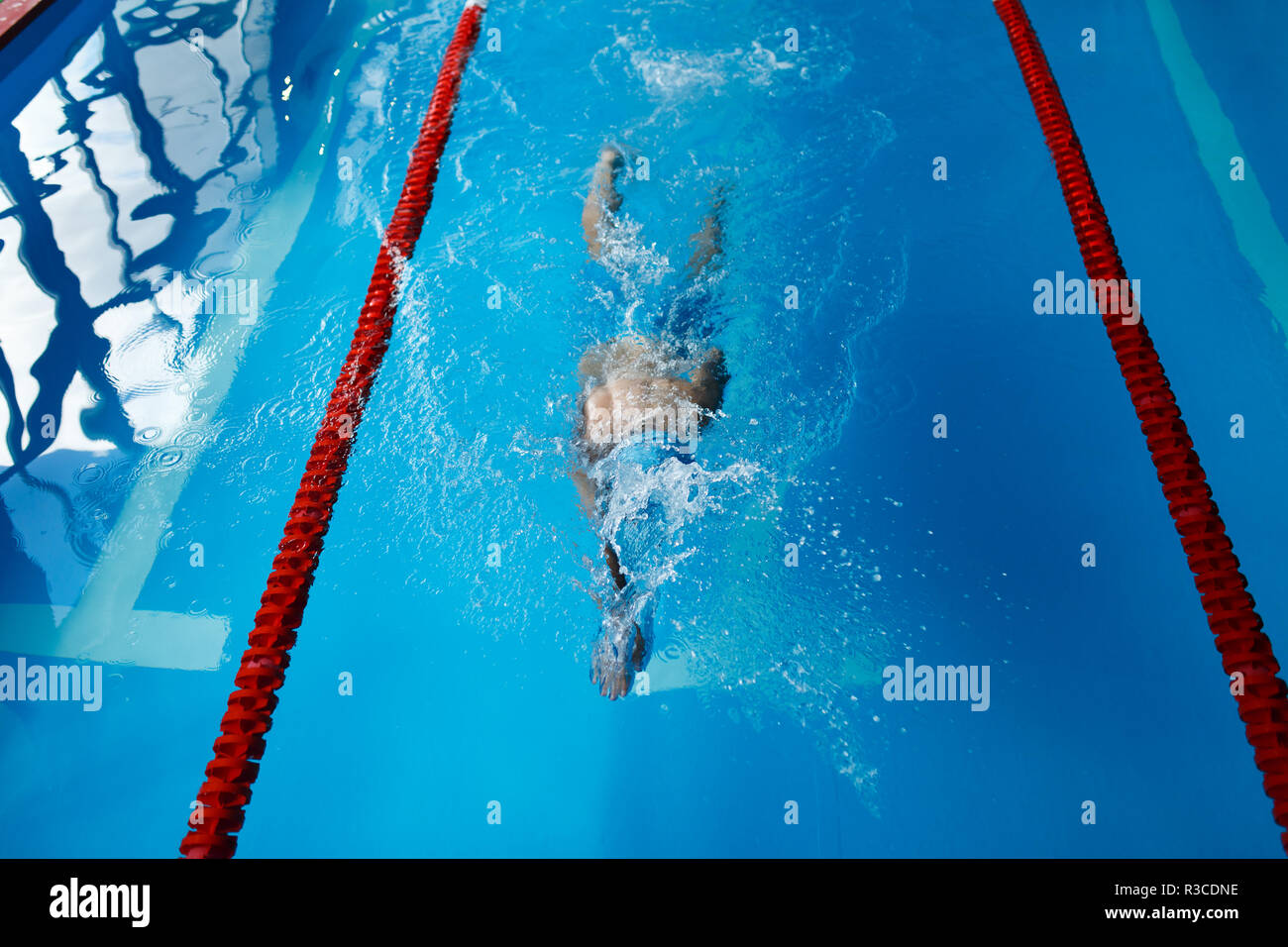 Photo sur le dessus de l'homme sport natation en style de crawl dans une piscine intérieure au cours de l'entraînement Banque D'Images