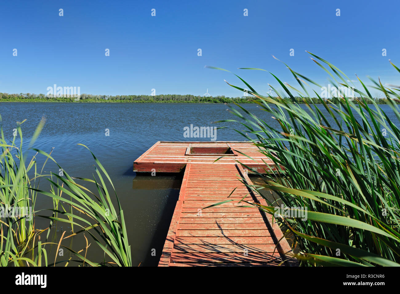 Canada, Manitoba, Saint Leon. Dock en bois sur le lac Saint-Leon. Banque D'Images