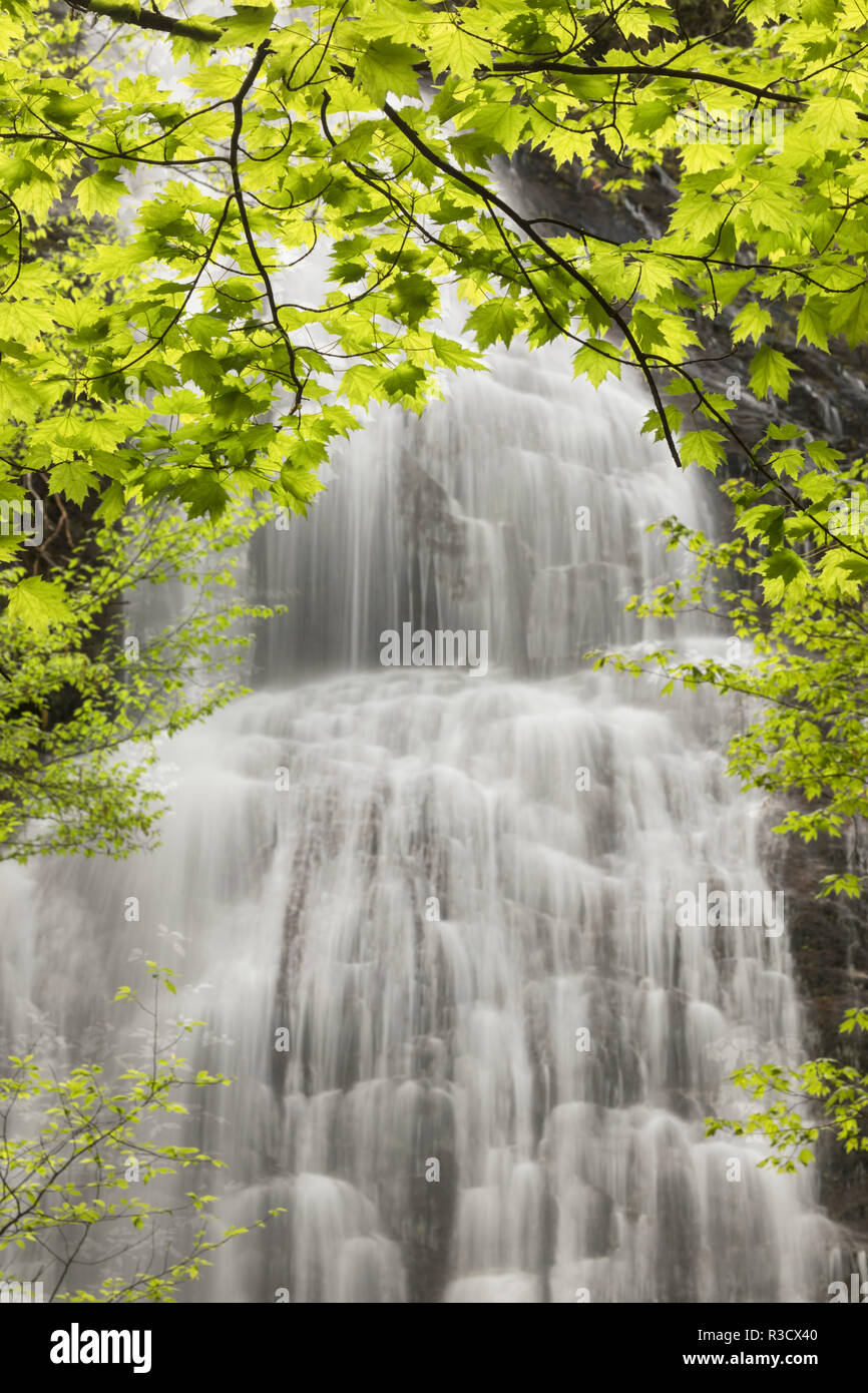 Mingo Falls, Qualla Boundary, Cherokee land trust, Swain Comté (Caroline du Nord) Banque D'Images