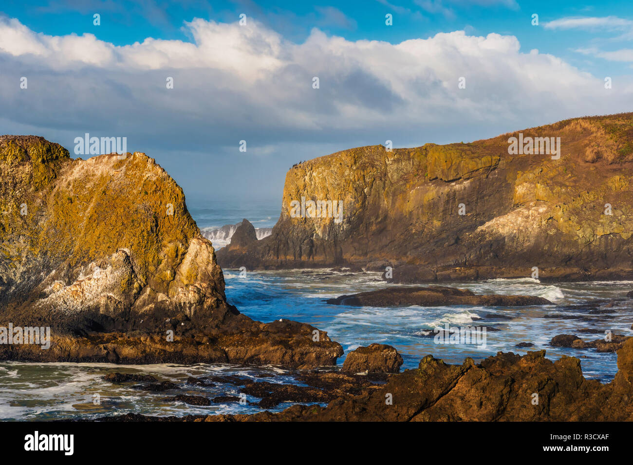 USA (Oregon). Les roches océaniques et côtières. En tant que crédit : Jay O'Brien / Jaynes Gallery / DanitaDelimont.com Banque D'Images