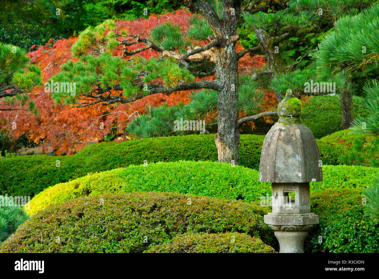 Pagode, paysage d'automne, le jardin japonais de Portland, Portland, Oregon, USA Banque D'Images